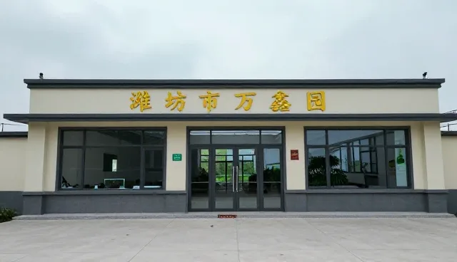 农产品销售中的常见问题与应对策略